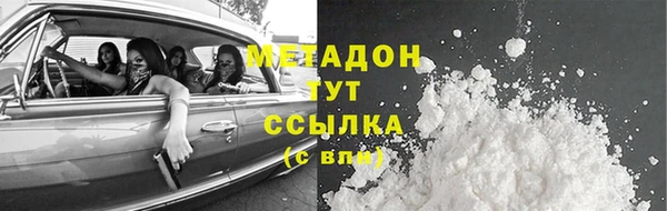 прущие грибы Волоколамск