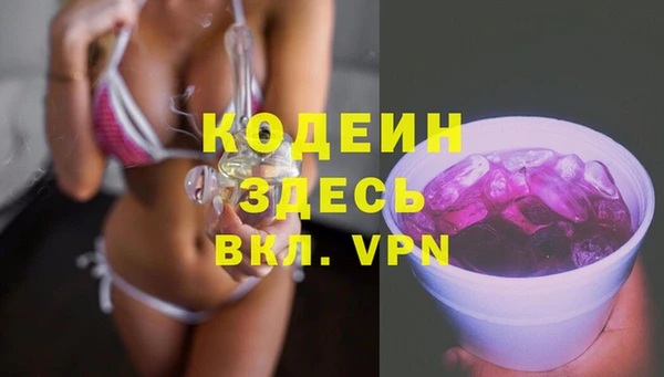 прущие грибы Волоколамск