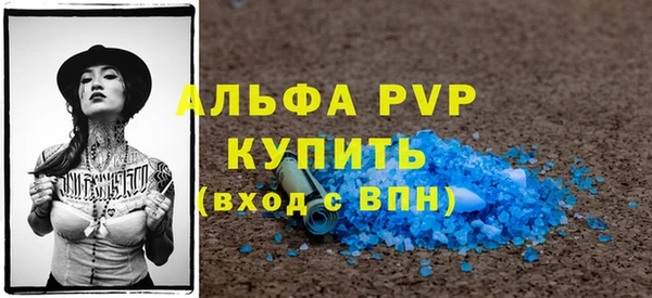 прущие грибы Волоколамск