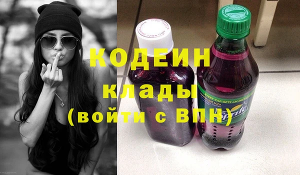 прущие грибы Волоколамск