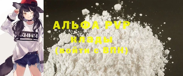 гидра Володарск