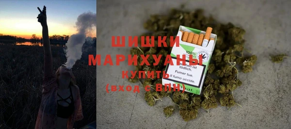 гидра Володарск